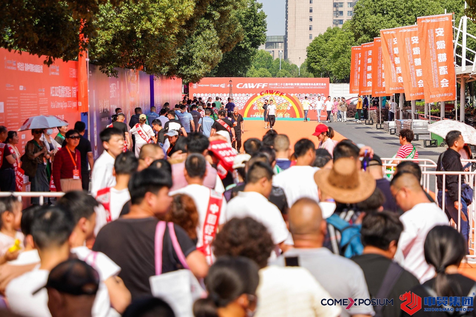 1698374920130397.jpg 1698374920130397.jpg